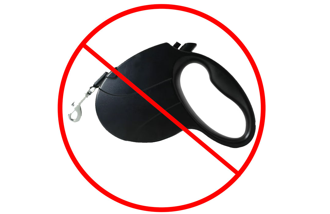 Vets do not recommend that dog owners use a retractable dog leash