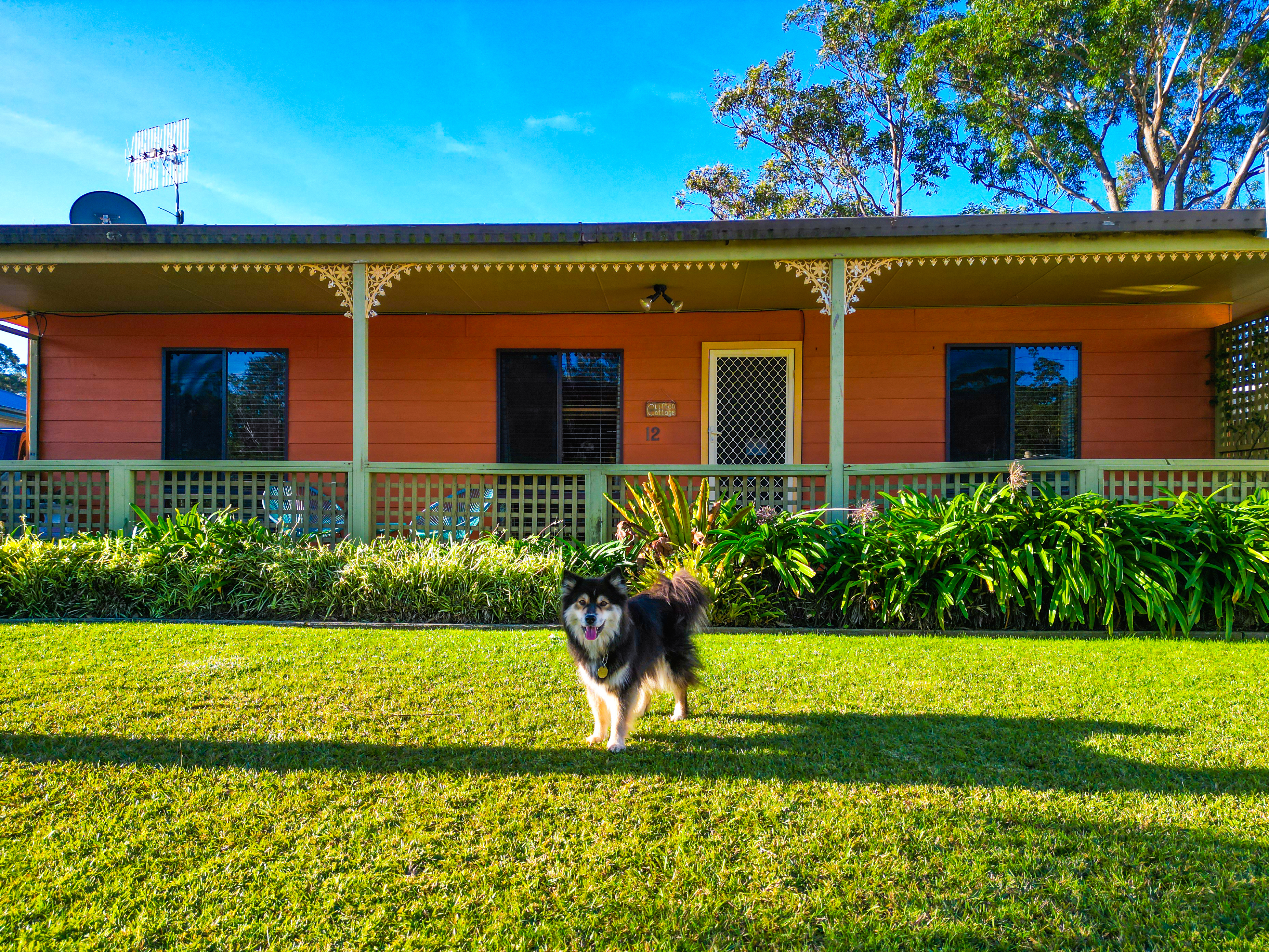 Dog Friendly Holiday Accommodation At Jervis Bay