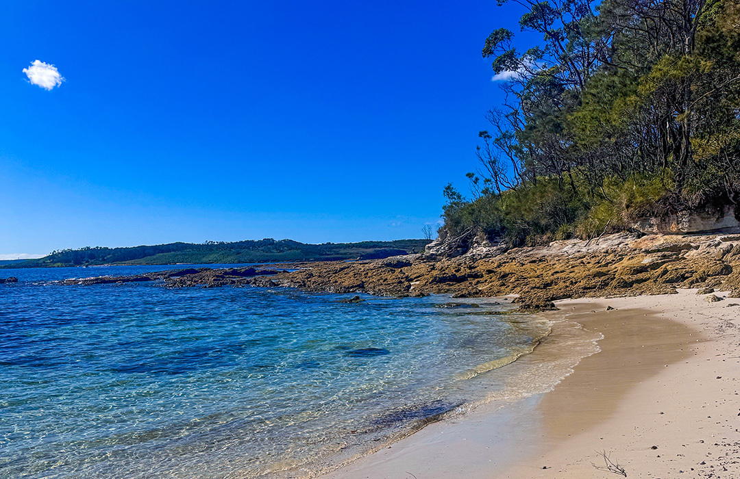 Dog Friendly Beaches Jervis Bay