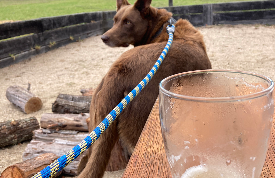 Dog Friendly Wineries and Breweries Stanthorpe