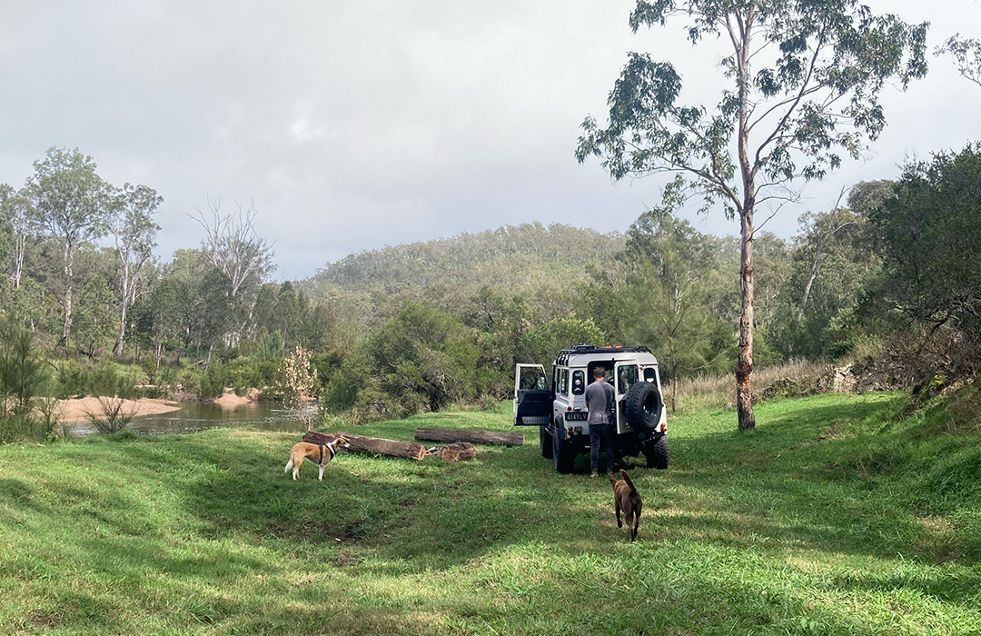 Exploring Clarence River With Dogs 4wd Adventure