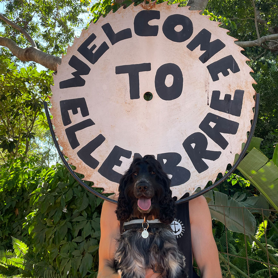 Many of the working cattle stations on The Gibb offer camping and are dog friendly