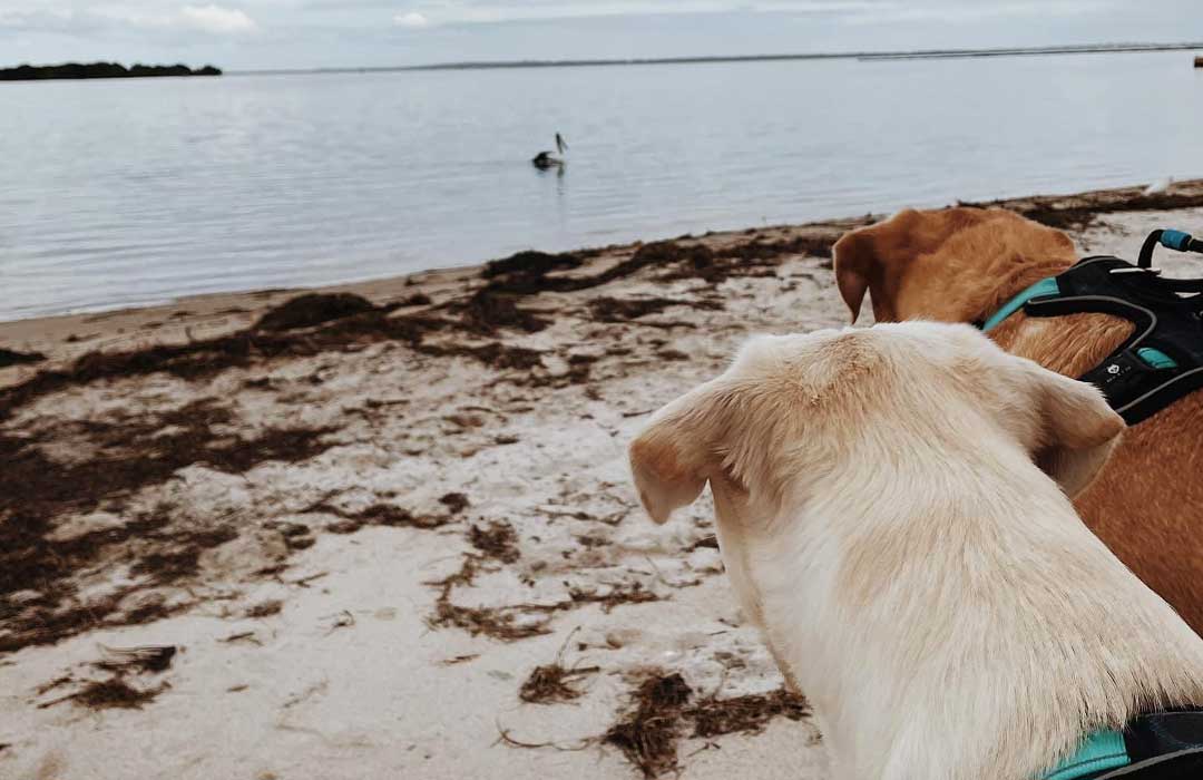 Chatting with the locals of the Great Southern Region of WA