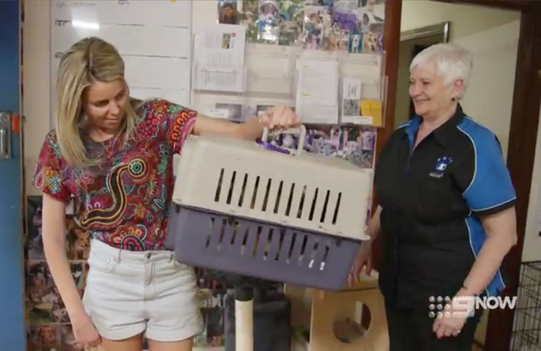 Karri collecting Biscuit from Sue at SAFE Karratha