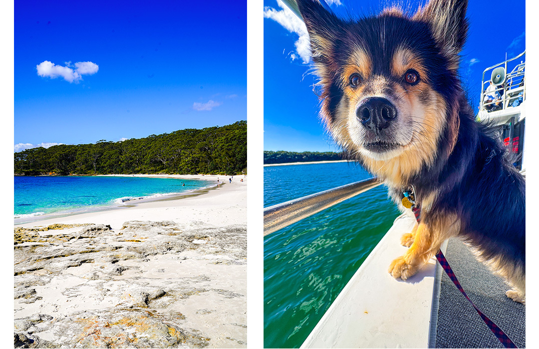 Holidaying With Dogs Jervis Bay