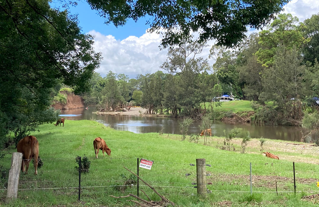 Imbil Camping Retreat is on the Yabba Creek