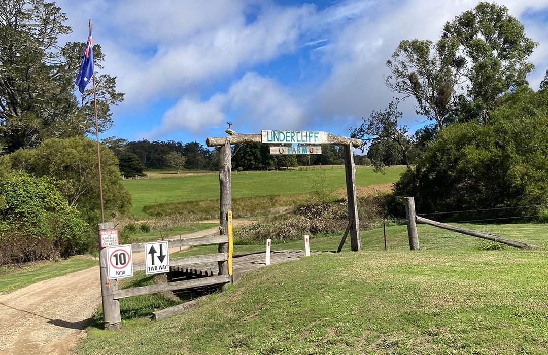 Dog Friendly HipCamp Stanthorpe