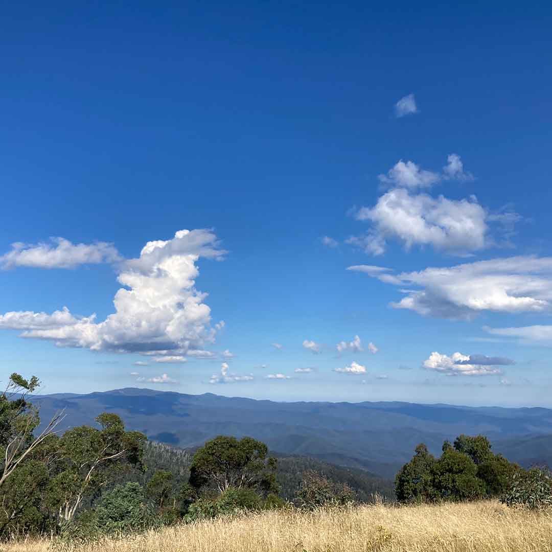 are dogs allowed in the vic high country