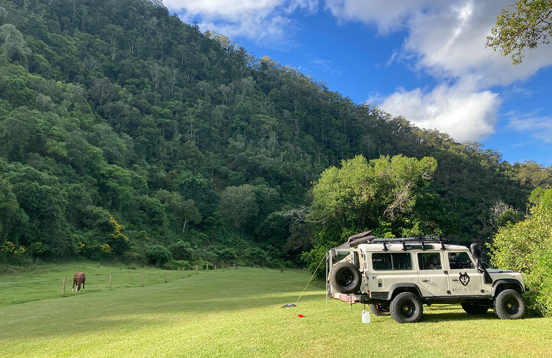 Pristine dog friendly camp sites at Maluka Park, Imbil